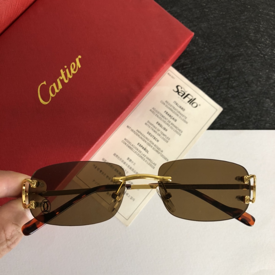 [Cartier Eyewear]Cartier men