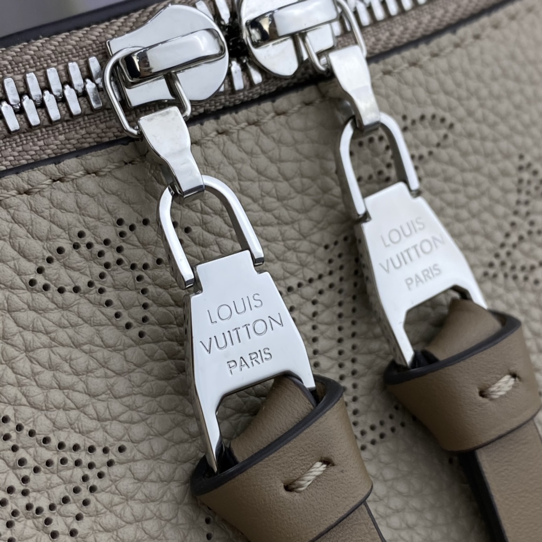 Louis Vuitton LV Beaubourg Hobo Bags Handbags Weave Calfskin Cowhide M56073