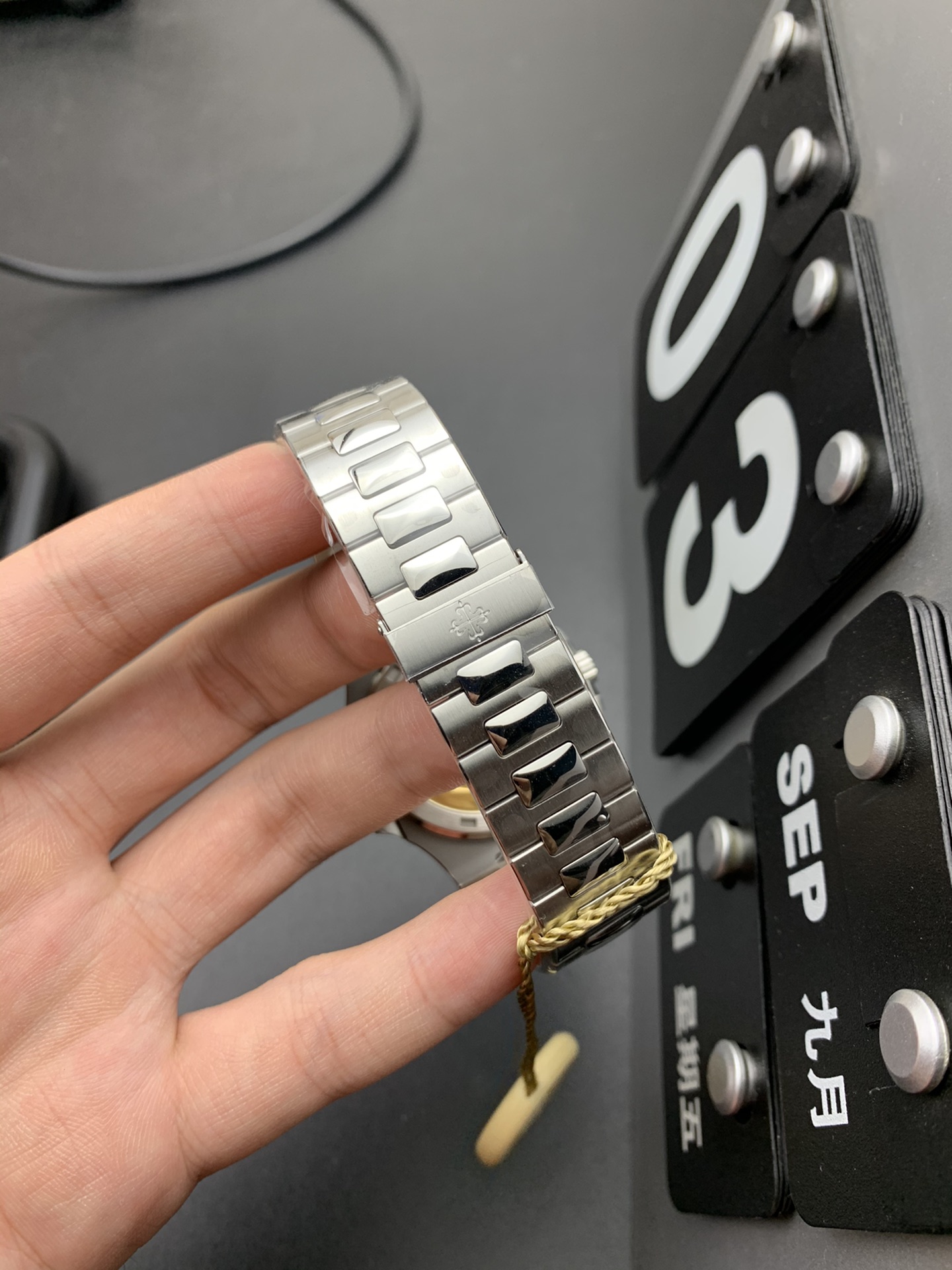 Patek Philippe PPF 钢王鹦鹉螺