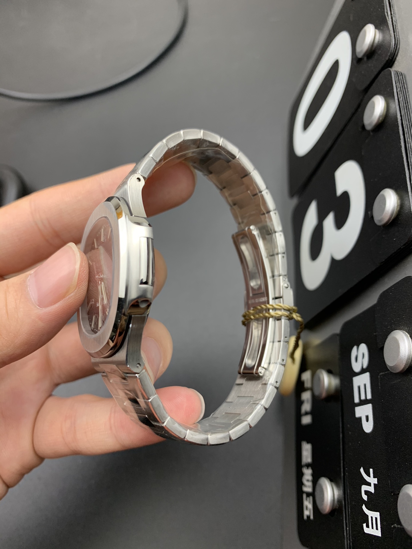 Patek Philippe PPF 钢王鹦鹉螺
