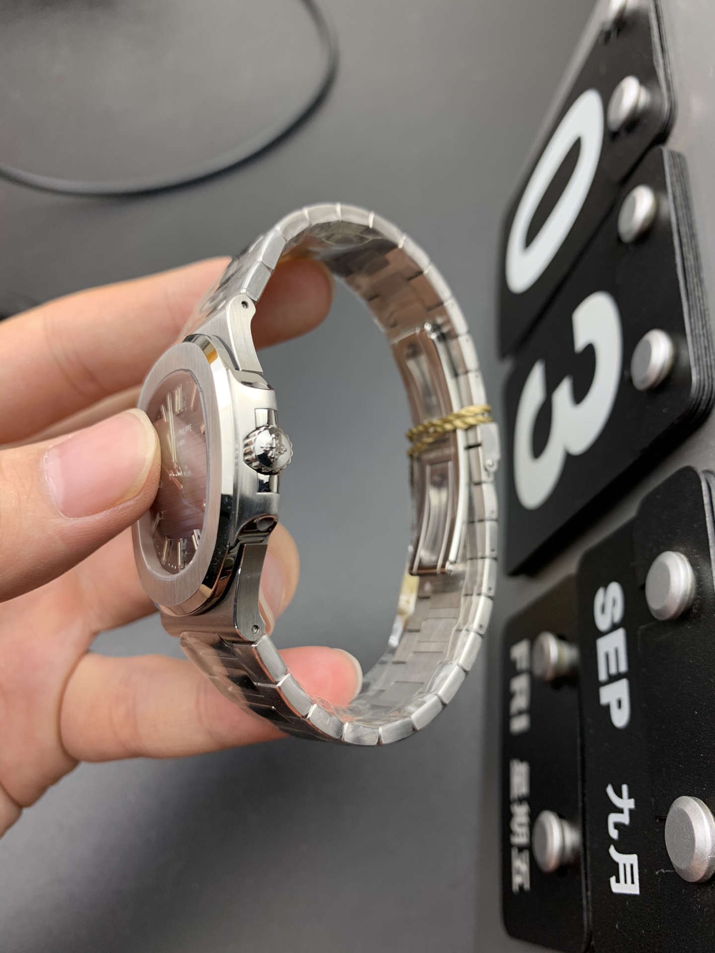 Patek Philippe PPF 钢王鹦鹉螺