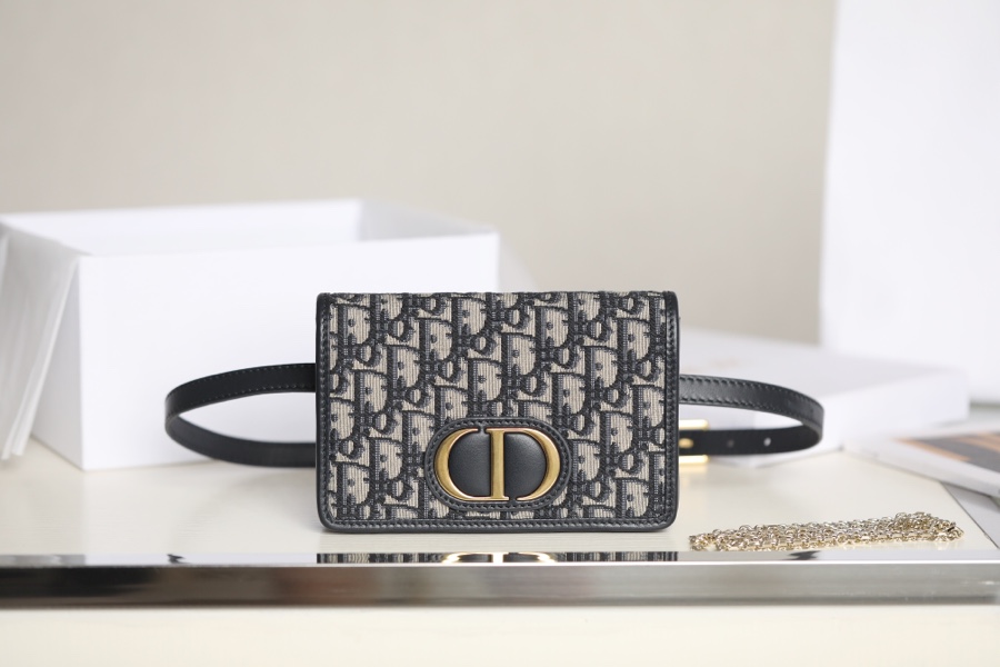 Dior Borse da Cintura Blu Stampa Oblique Catene