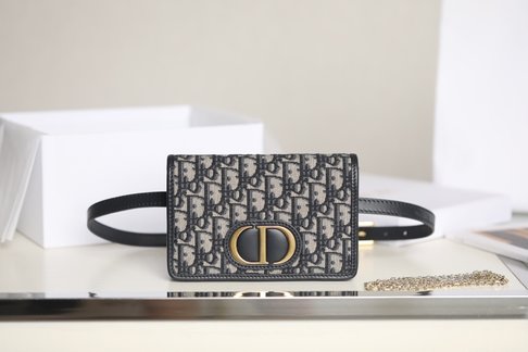 Dior Belt Bags & Fanny Packs Blue Printing Oblique Chains