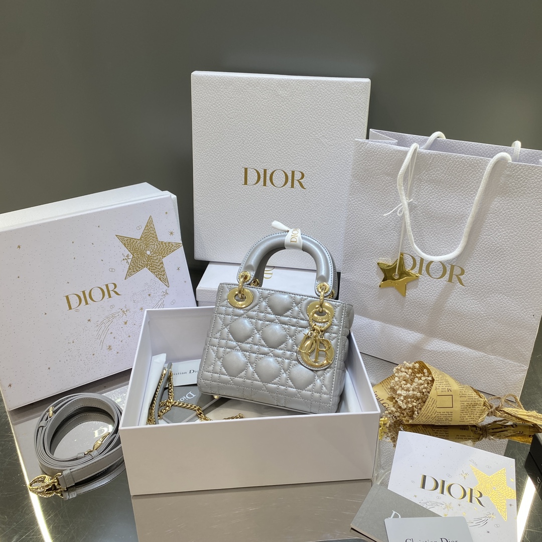 Dior Lady Handbags Crossbody & Shoulder Bags Gold Grey Epi Lambskin Sheepskin Mini