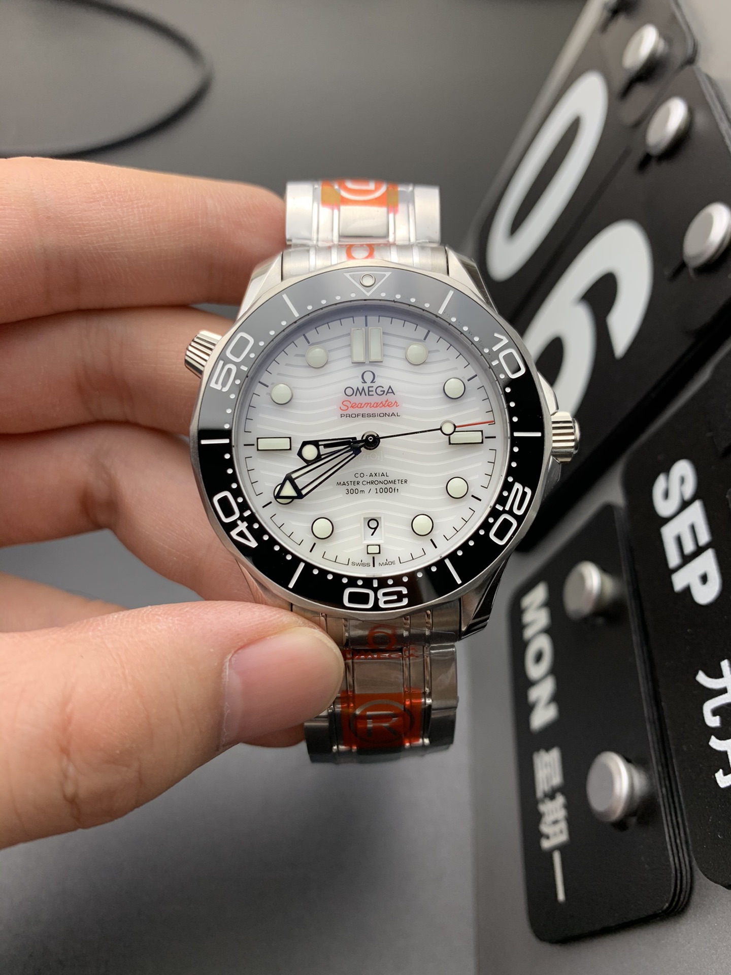 Omega OR 熊猫海马