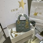 Dior Lady Handbags Crossbody & Shoulder Bags Gold Grey Stone Gray Epi Lambskin Sheepskin Mini