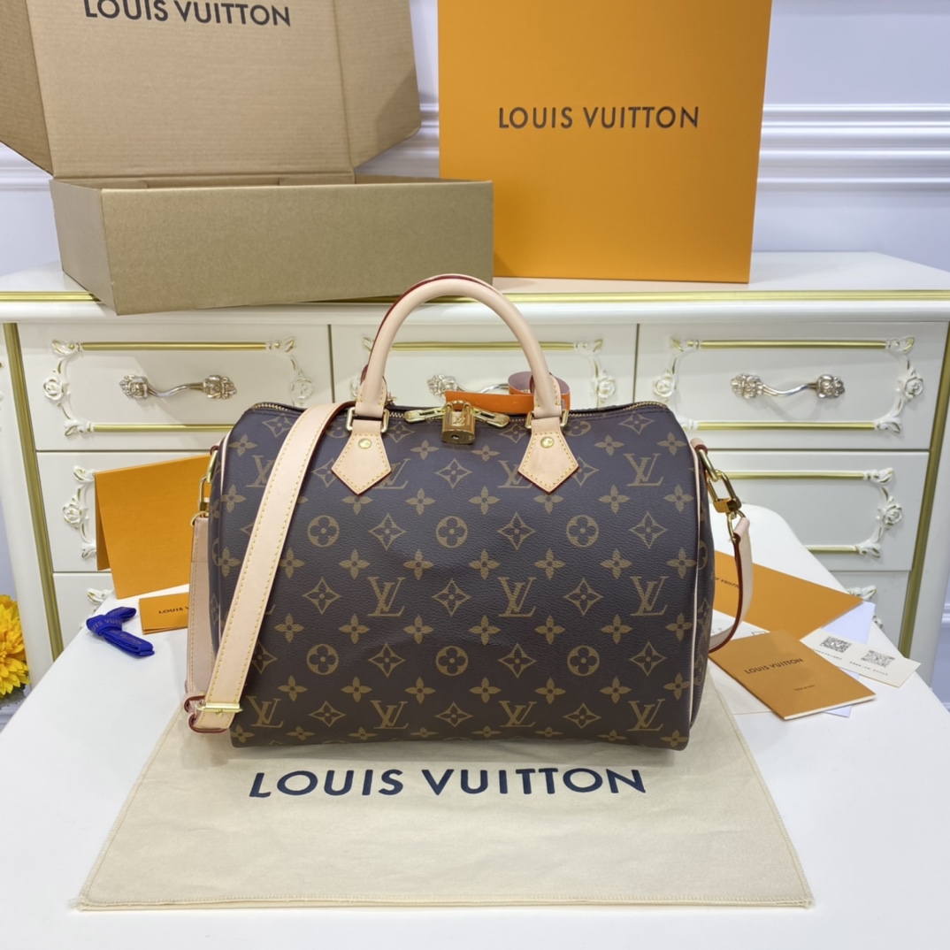 Louis Vuitton LV Speedy Bags Handbags Damier Ebene Canvas m41112