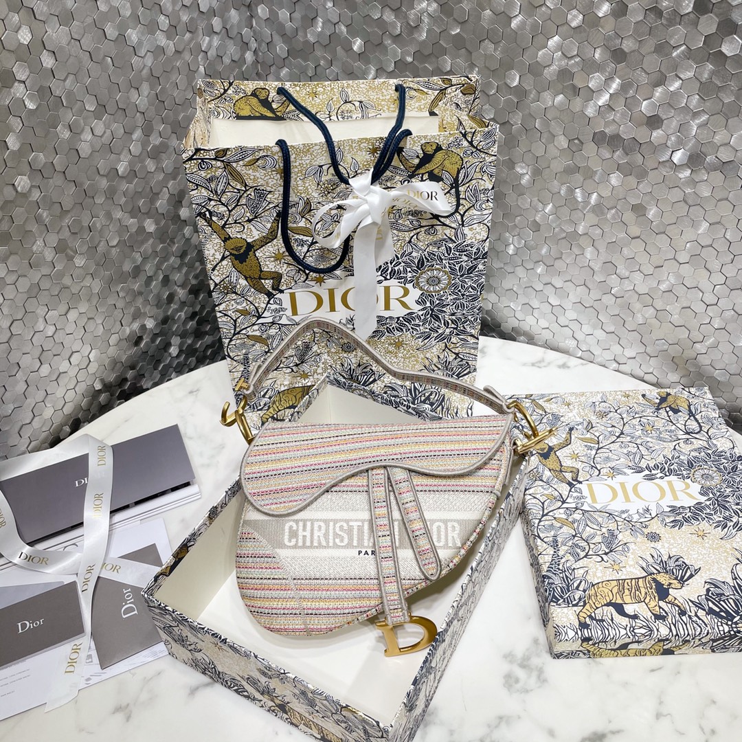Dior Saddle Handbags Saddle Bags Embroidery