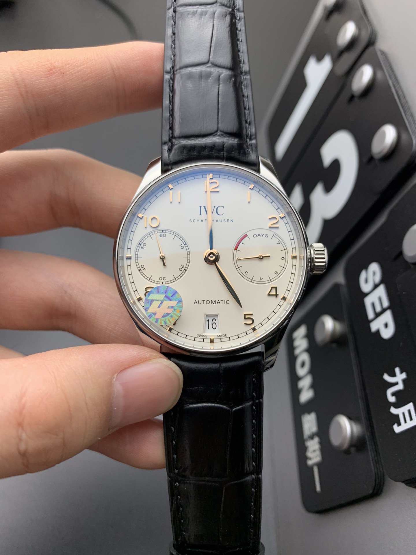 IWC 金针葡七