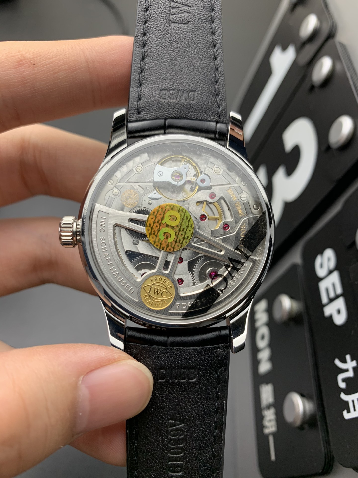IWC 金针葡七