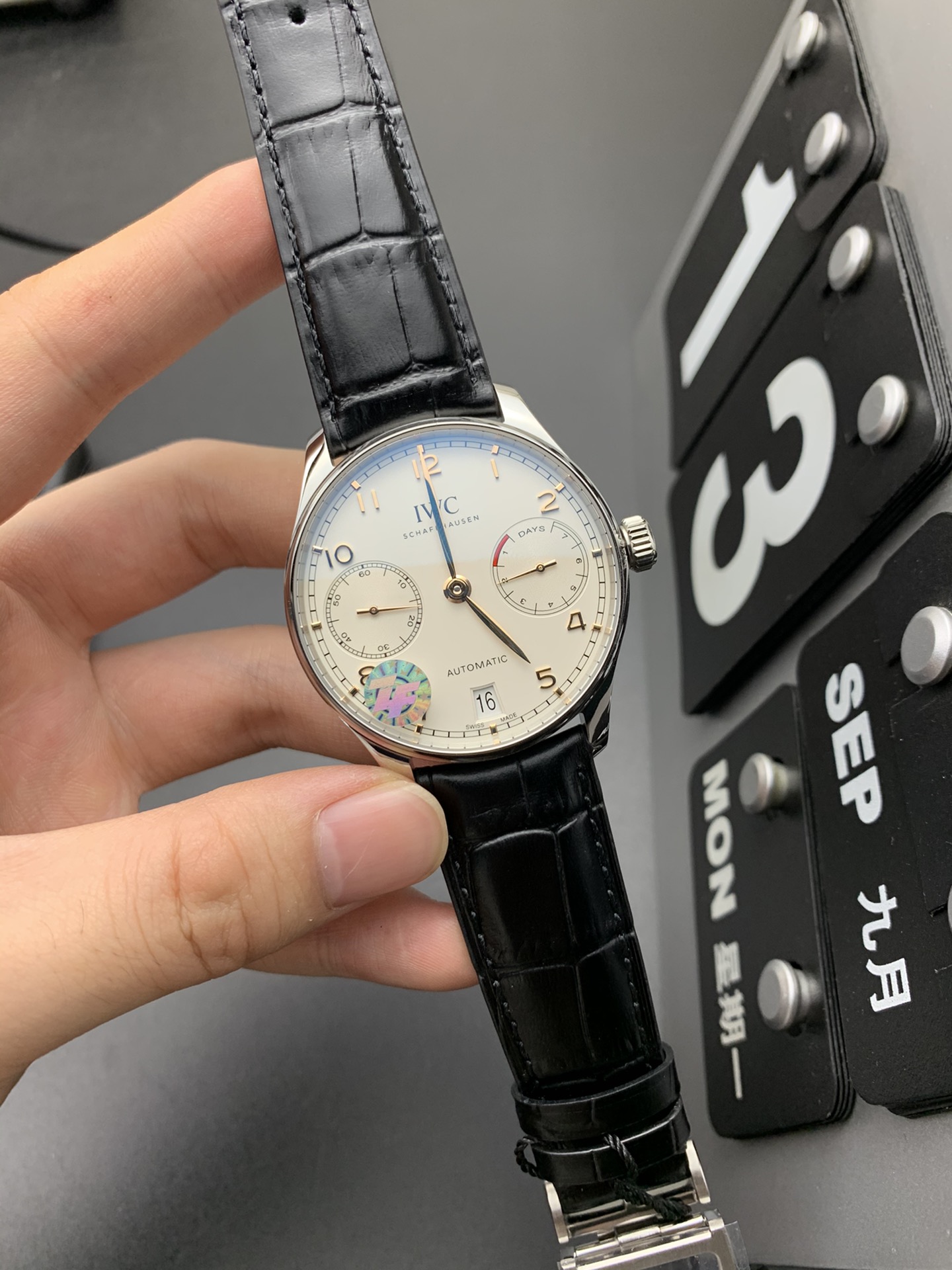 IWC 金针葡七