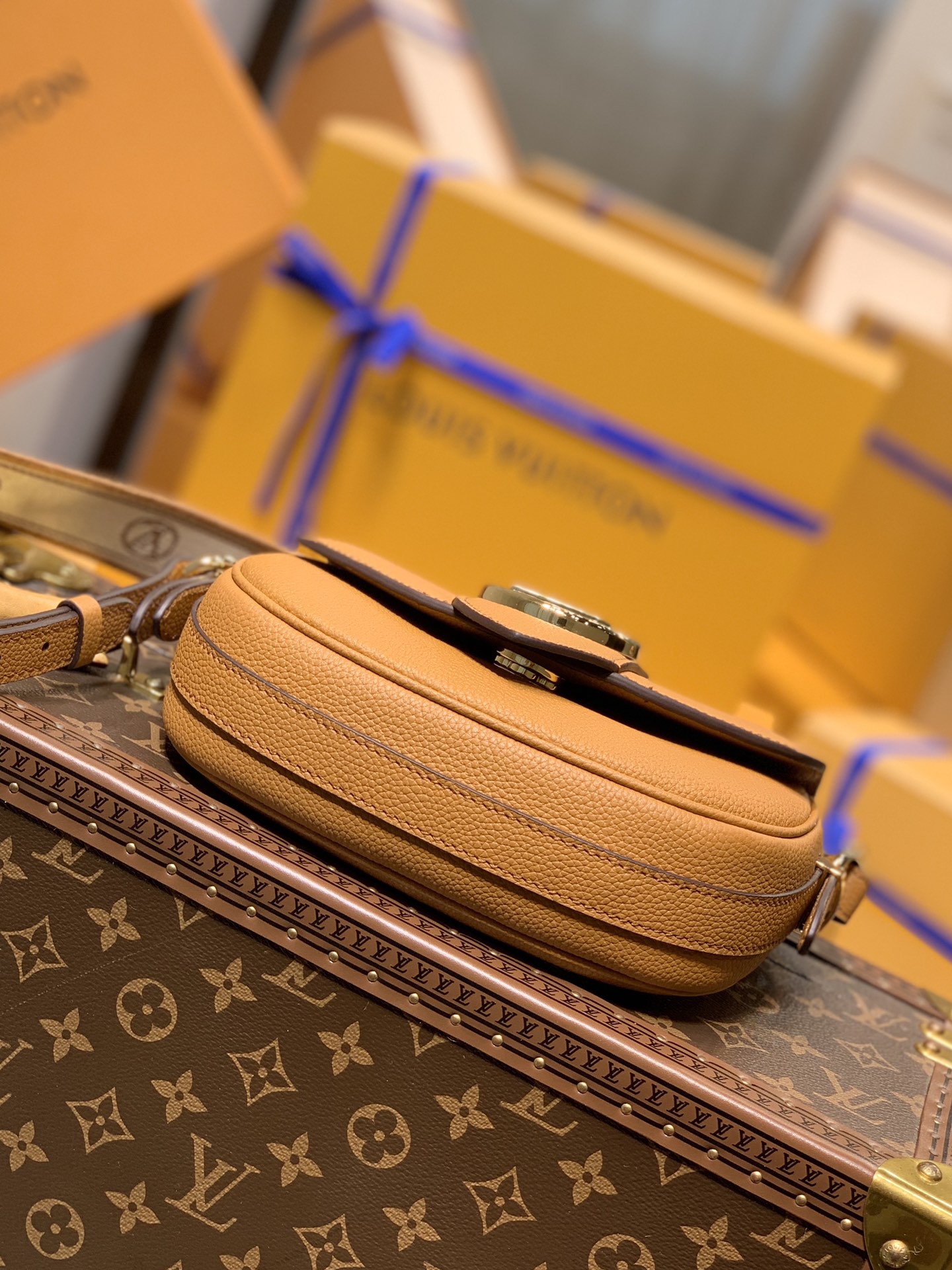 Louis Vuitton LV Pont 9 Soft 中号马鞍包 M58968金橘色