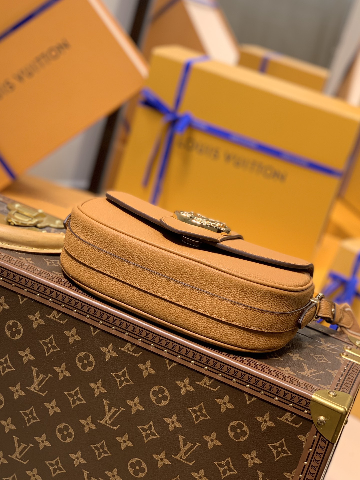 Louis Vuitton LV Pont 9 Soft 马鞍包 M58729金橘色