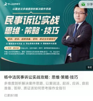 【法律专区】【补文档】【智元】 《民事诉讼实战攻略：思维·策略·技巧》