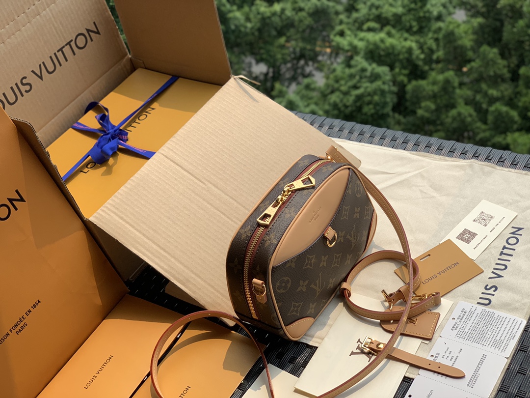 🌼 m45528尺寸21*16*7cm老花 L*V又出了一款新的相机包，一款比nano s🌼Peedy更