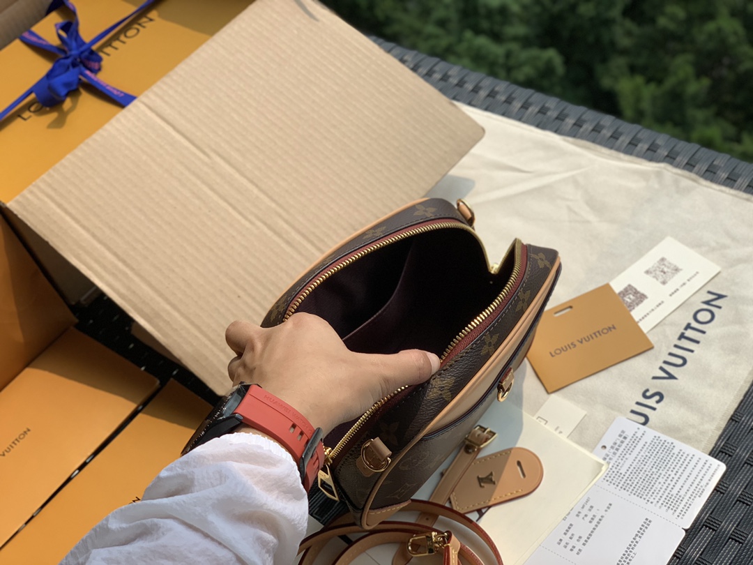 🌼 m45528尺寸21*16*7cm老花 L*V又出了一款新的相机包，一款比nano s🌼Peedy更