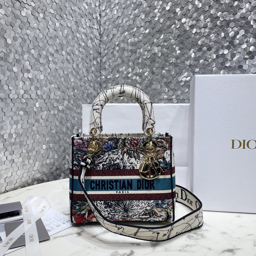 Dior Bags Handbags Gold Embroidery Lady