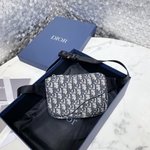 Dior Belt Bags & Fanny Packs Beige Black Printing Cowhide Nylon Oblique