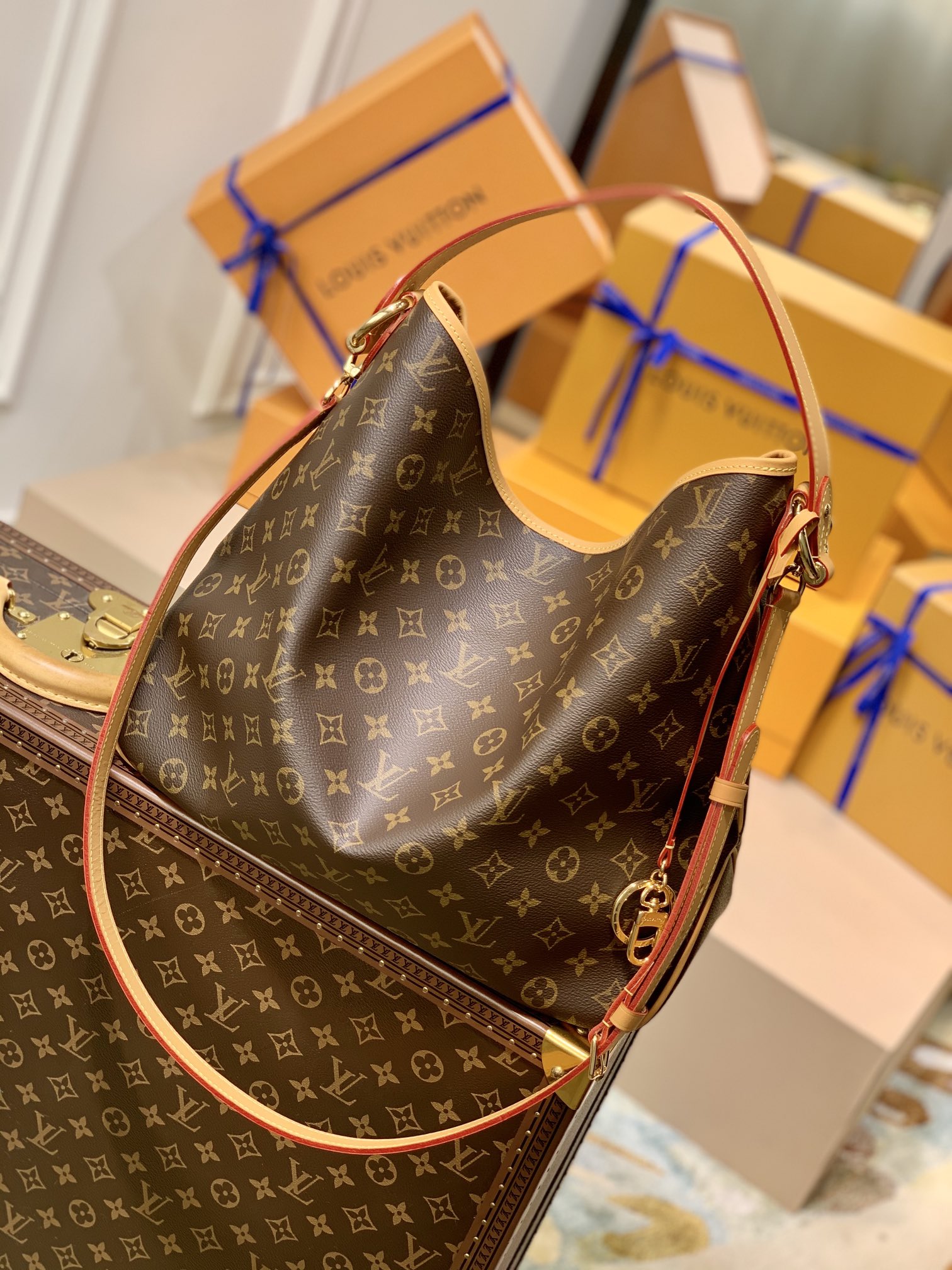 Louis Vuitton LV Delightful中古版购物袋 M50156