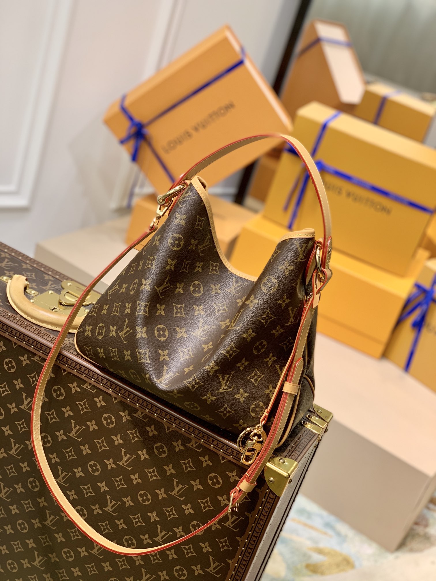 Louis Vuitton LV Delightful中古版购物袋 M50155