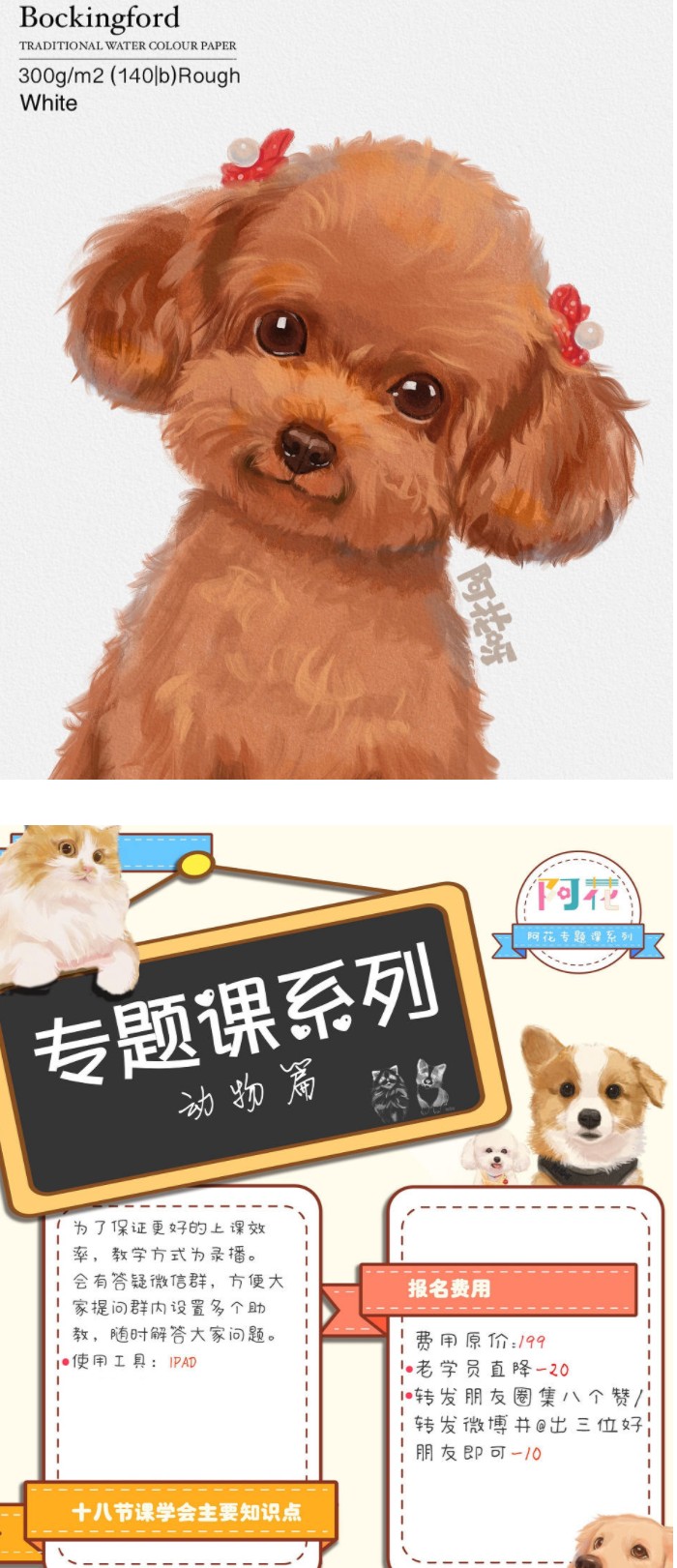 【设计上新】阿花宠物团练2021年7月结课ipad插画课【画质高清有笔刷素材】