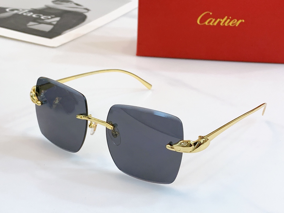 [Cartier Eyewear]Cartier CT0130S sunglasses