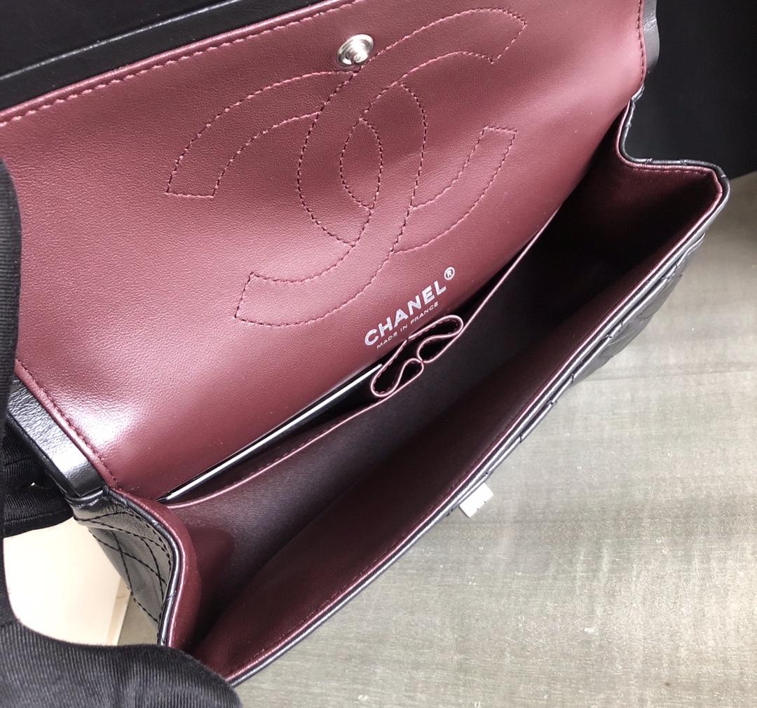 Chanel Luxury Handbag Collection 9