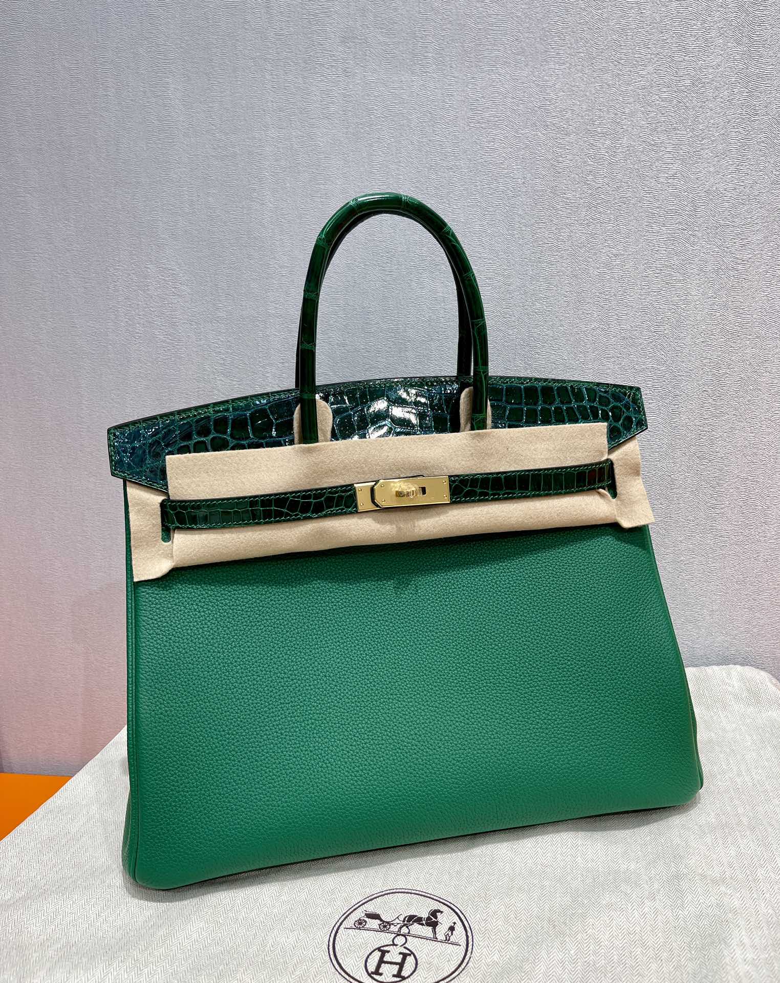 Hermes Birkin Borse Borsette Verde scuro Platino Hardware oro