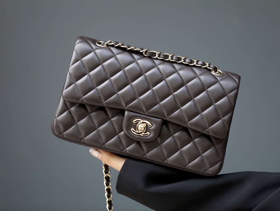 Túi Chanel Classic 25 Flap Bag