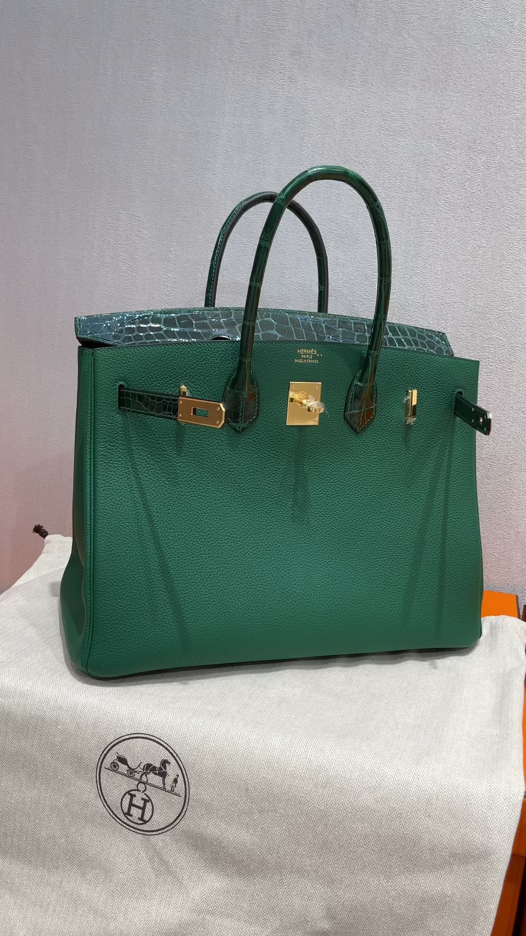 Hermes Birkin Borse Borsette Verde scuro Platino Hardware oro