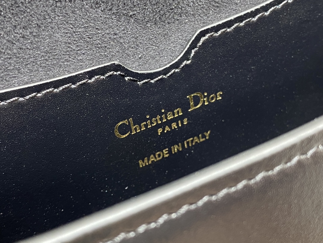 DIOR Bobby East-West 马鞍包 M9327UMOL_M900