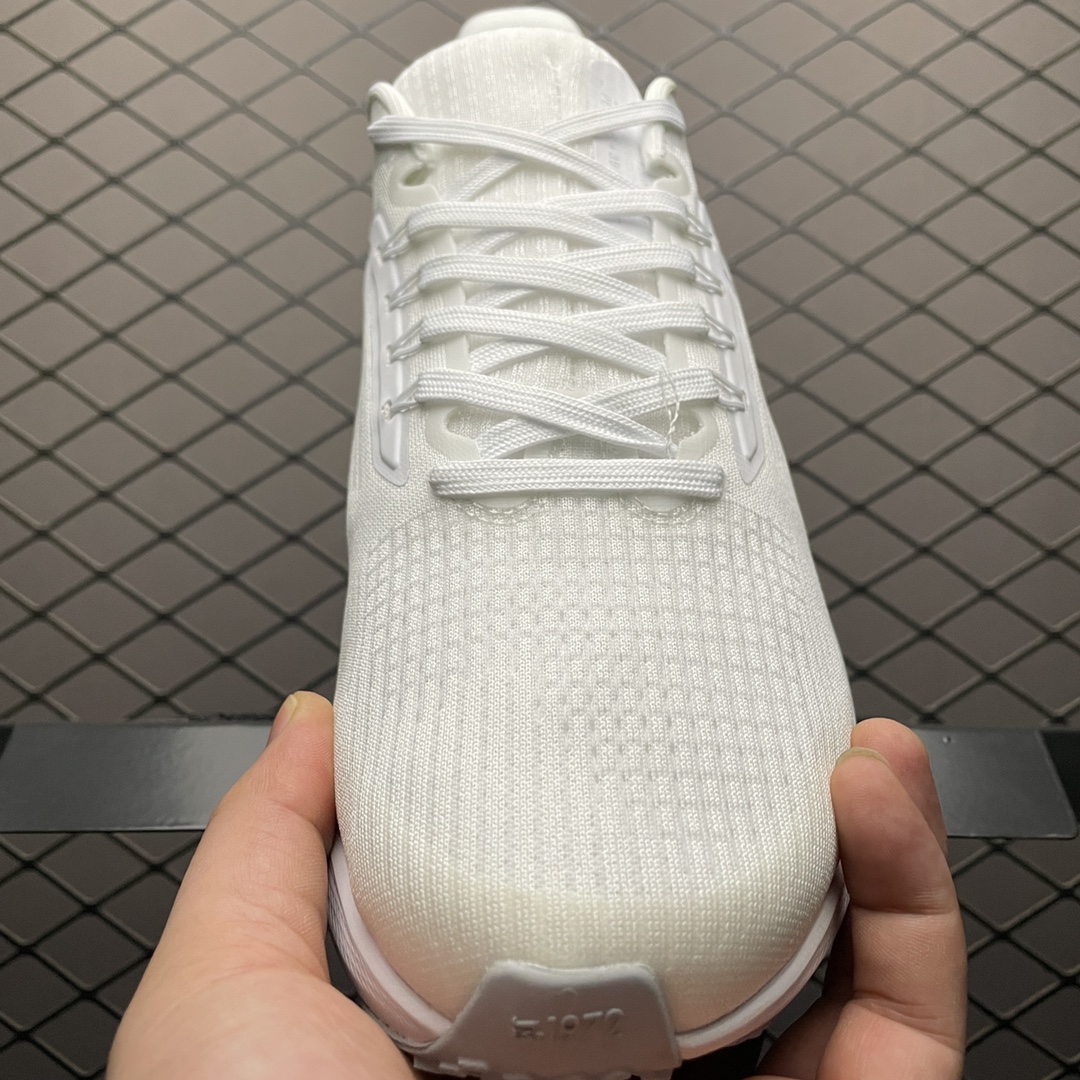 NKZoomPegasus39登月3