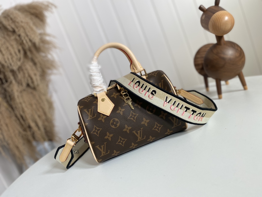 Louis Vuitton LV Speedy Bags Handbags Apricot Color Red Damier Ebene Canvas Fall/Winter Collection Fashion M41114