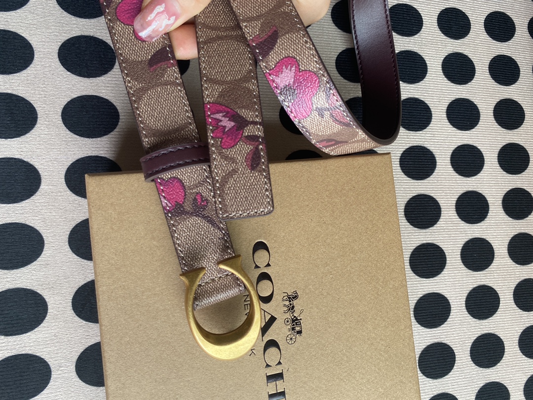 Coach ～新款 到货了coach蔻驰F83960腰带——终于