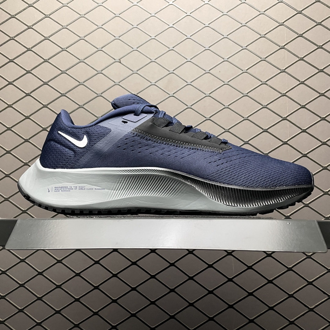 NKZoomPegasus38登月3