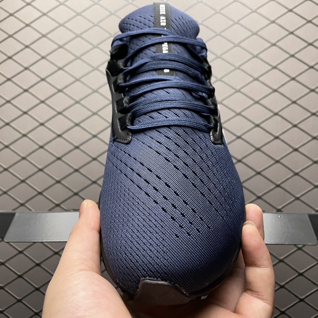 NKZoomPegasus38登月3