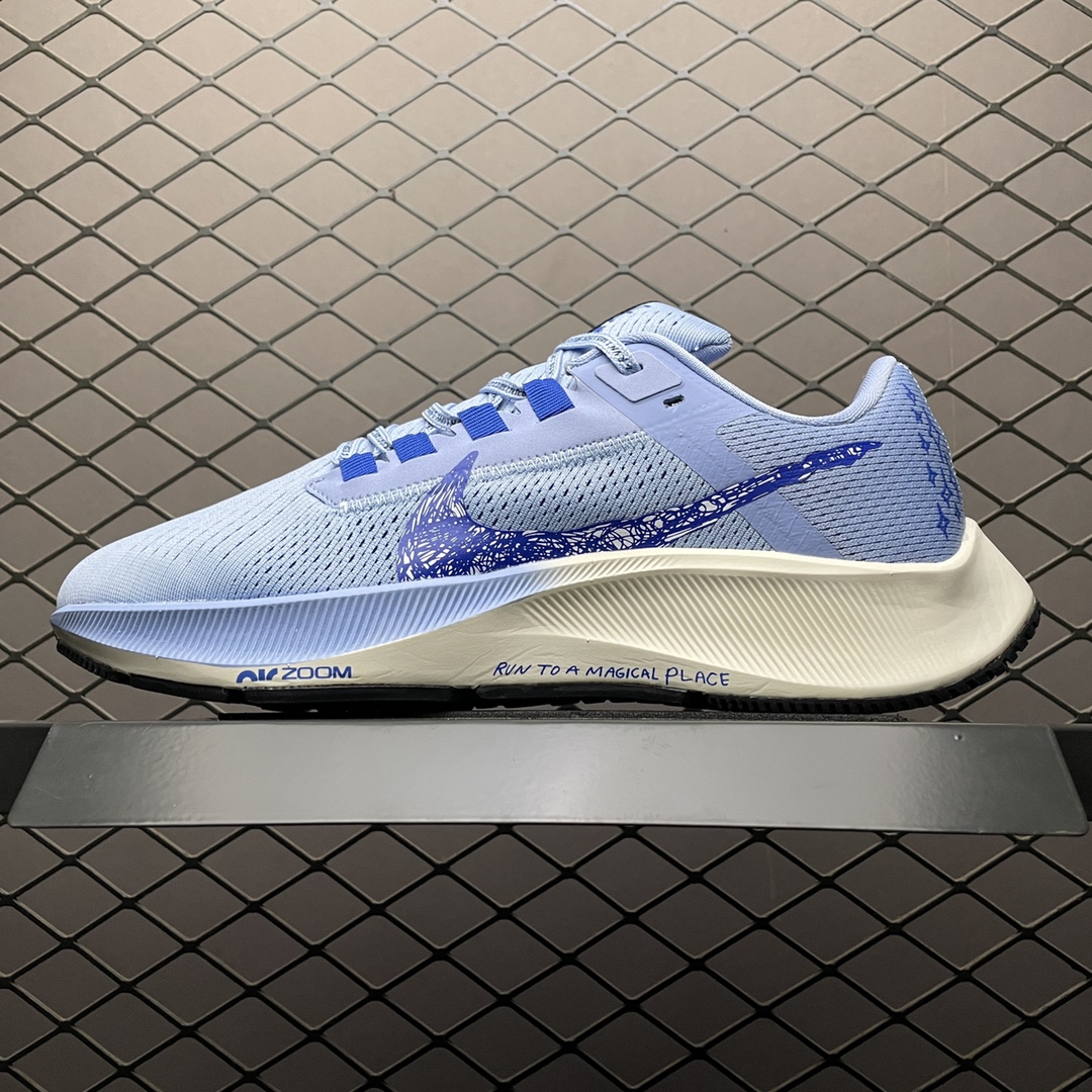 NKZoomPegasus38登月3