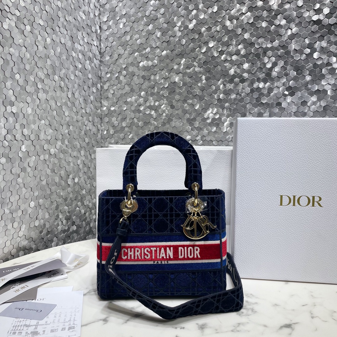 Dior Bags Handbags Blue Gold Embroidery Cotton Velvet Lady