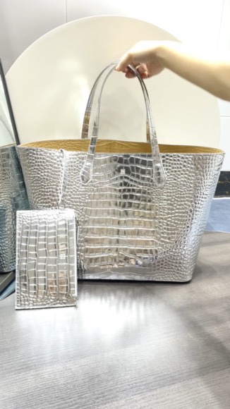 Silver crocodile - 图片 1