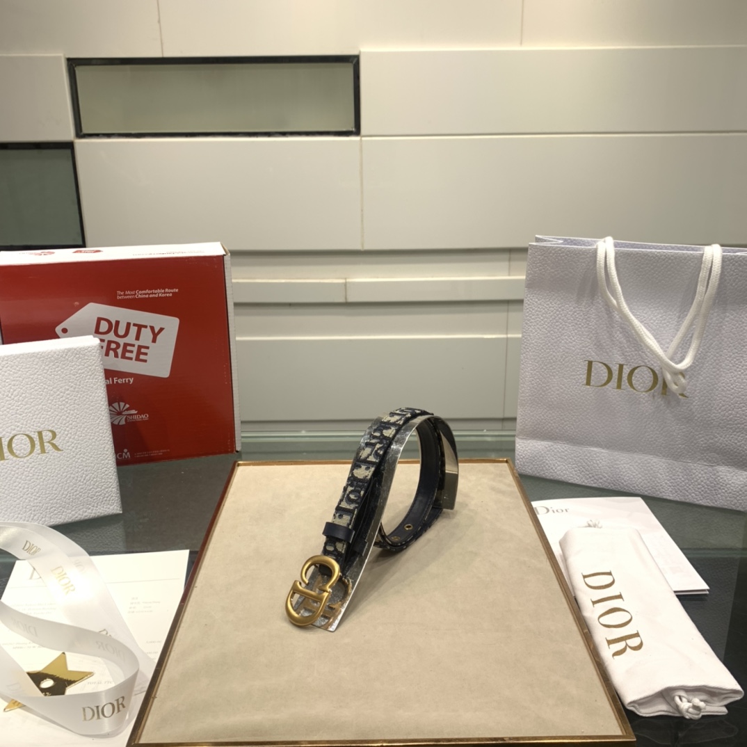 Dior Cintos Cinzento Bege Ouro Impressão Vintage Algodão Couro de vaca Oblique