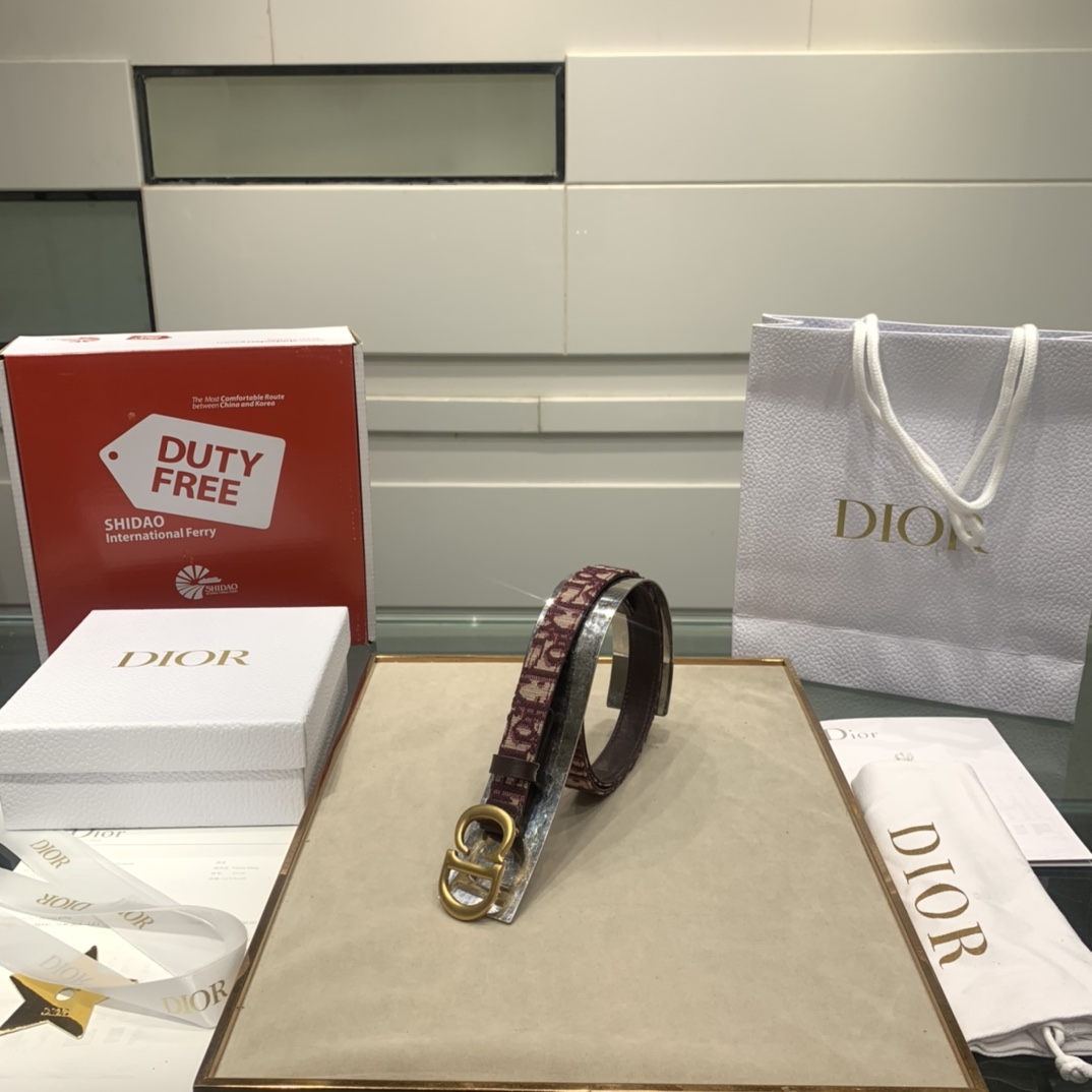 Dior Cintos Cinzento Bege Ouro Impressão Vintage Algodão Couro de vaca Oblique