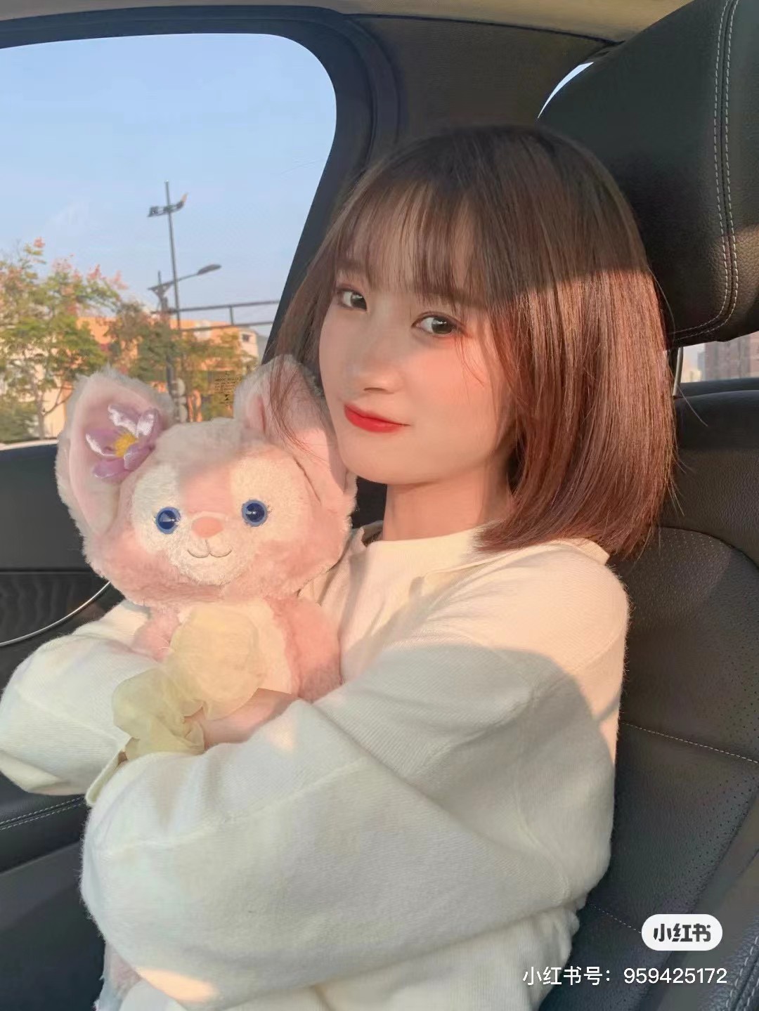 玲娜贝尔🦊 5
