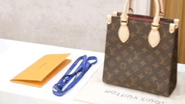 Louis Vuitton LV Sac Plat Crossbody & Shoulder Bags