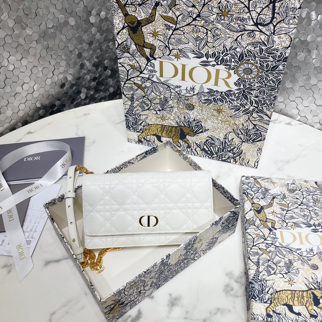 Dior Caro Belt Bags & Fanny Packs Fashion Designer
 Cowhide Chains