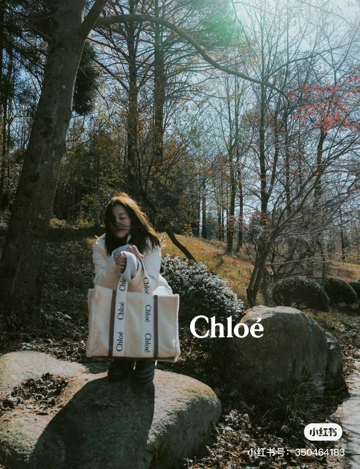 NO:199854,Liu Wen @ the new autumn and winter lamb fur Woody tote Bag hairy lamb fur cute and soft and cute absolutely hit the girl's heart, Chloe, original leather19860909刘雯@秋冬新款羊羔毛Woody tote Bag 毛茸茸羊羔毛 可爱又软萌绝对正中少女心,克洛伊，原厂皮,Bag