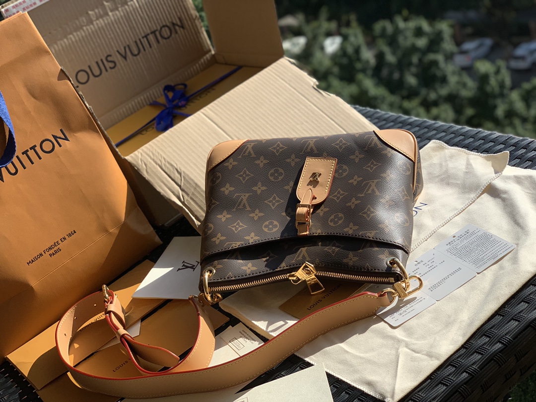 🌼 m45354 尺寸28 x 25 x 9 cm亲们瞧瞧这款，L*V新款odeon牛角包，官网1330