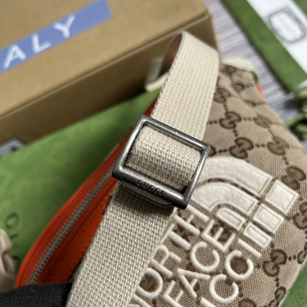 Exploring Fashion Innovation: The North Face x Gucci Collaboration - 图片 5