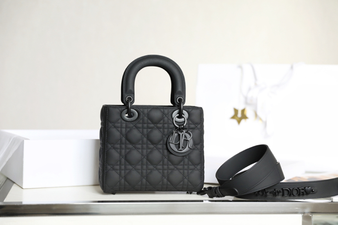 Dior Bags Handbags Black All Steel Lady