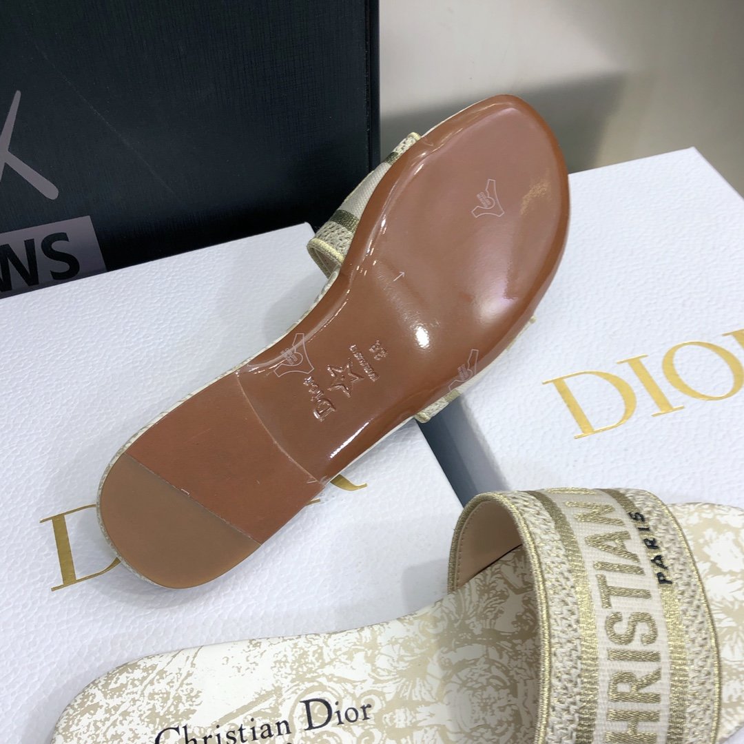 迪奥Dior2021DWAY早春新款