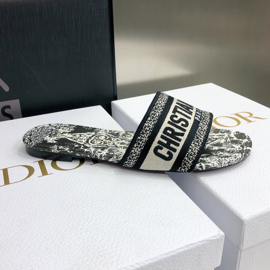 迪奥Dior2021DWAY早春新款